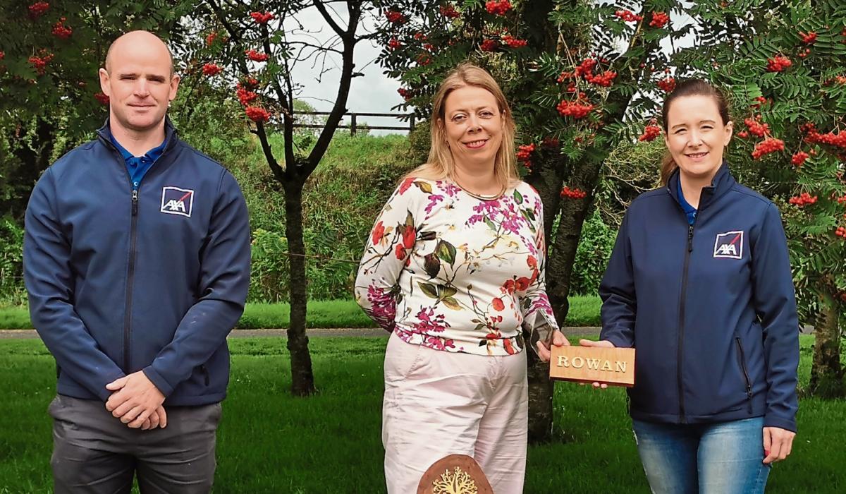 Green Limerick Native tree trail launched in local park Limerick Live