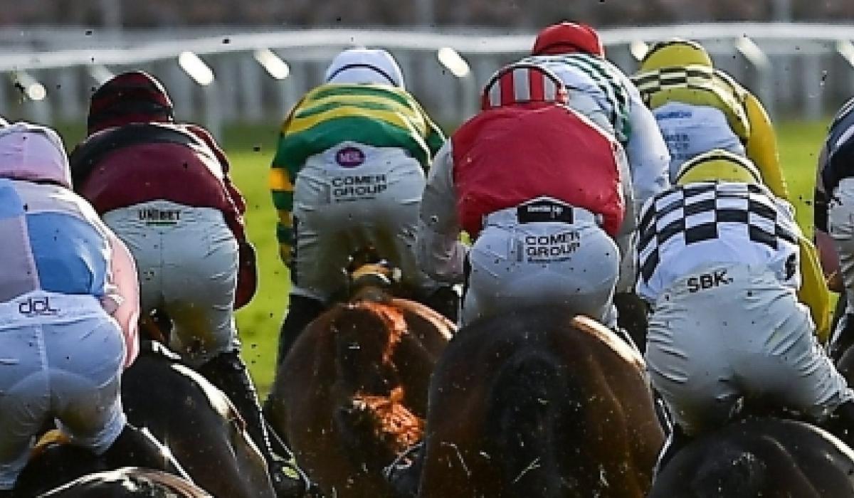 Cheltenham Festival 2023 Day 2 Tips Wednesday's Top Picks Limerick Live