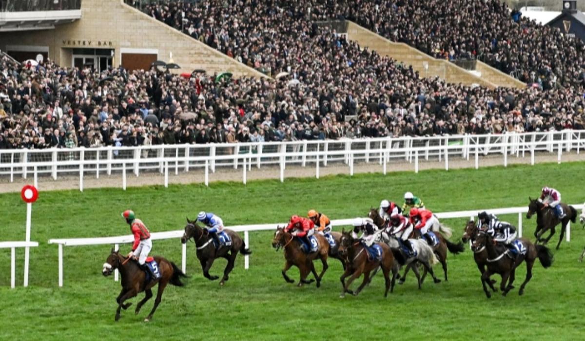 Cheltenham Festival 2023 Day 4 Tips St Patrick's Day Top Picks Limerick Live