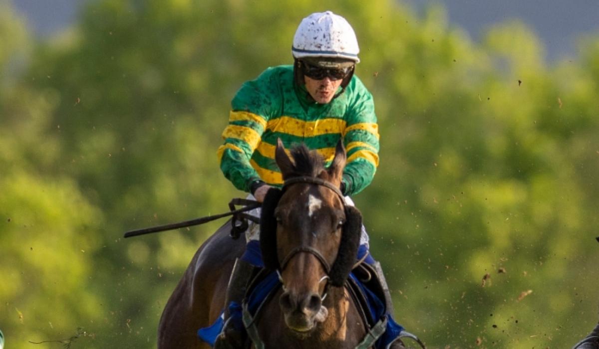 Limerick horse racing connections visit the winners' enclosure Limerick Live