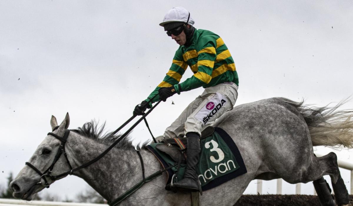 Limerick racehorse trainers visit winners' enclosure Limerick Live