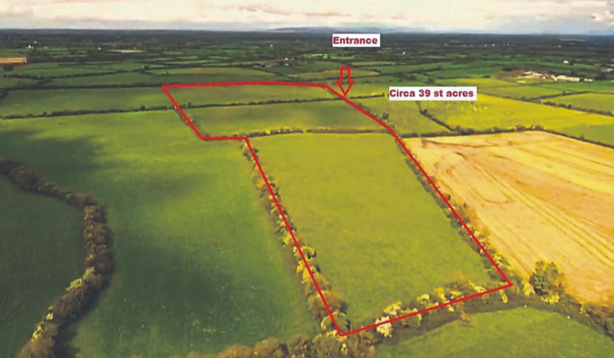 Deal struck on Limerick farm land for €1m Limerick Live