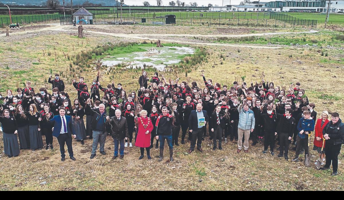 Green Limerick Biodiversity forest is growing at Limerick school