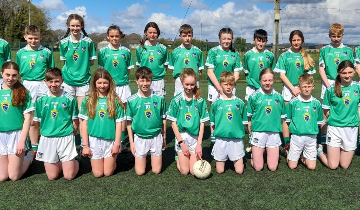 Limerick panels confirmed for Primary Game football games with Clare