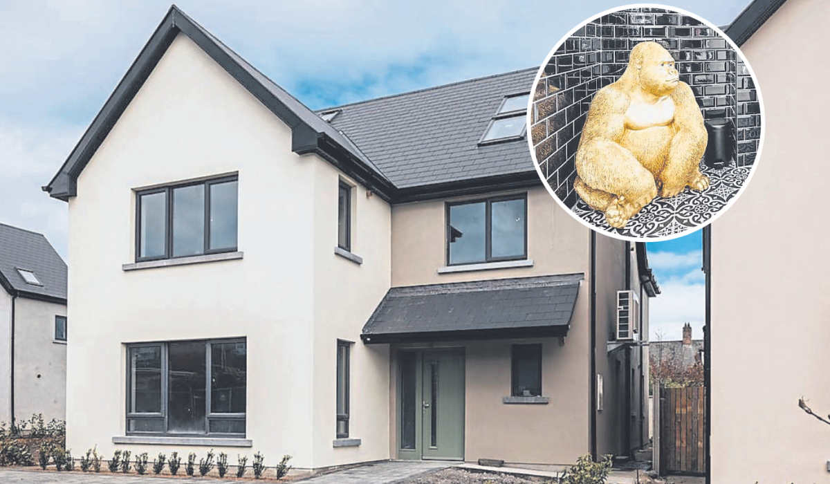 Il n'y a pas d'affaire de singe avec une maison de luxe à Limerick