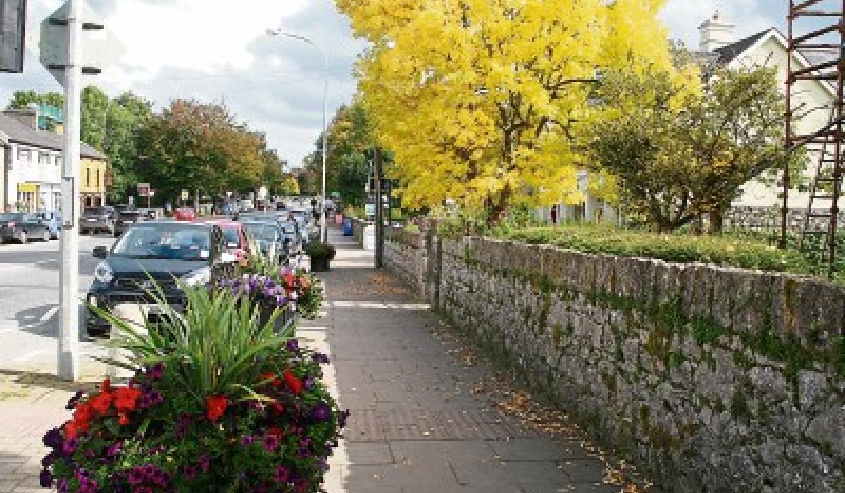 site promoting popular Limerick village marks two decades in