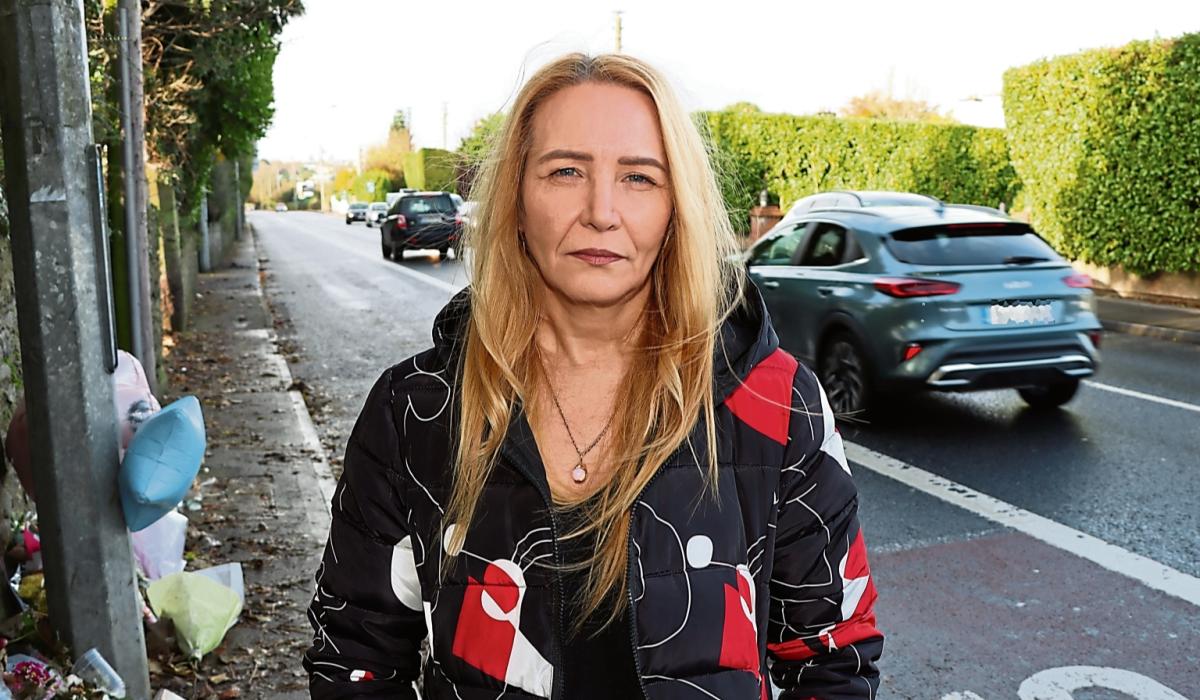 Renewed calls for safety measures in Limerick area where student lost