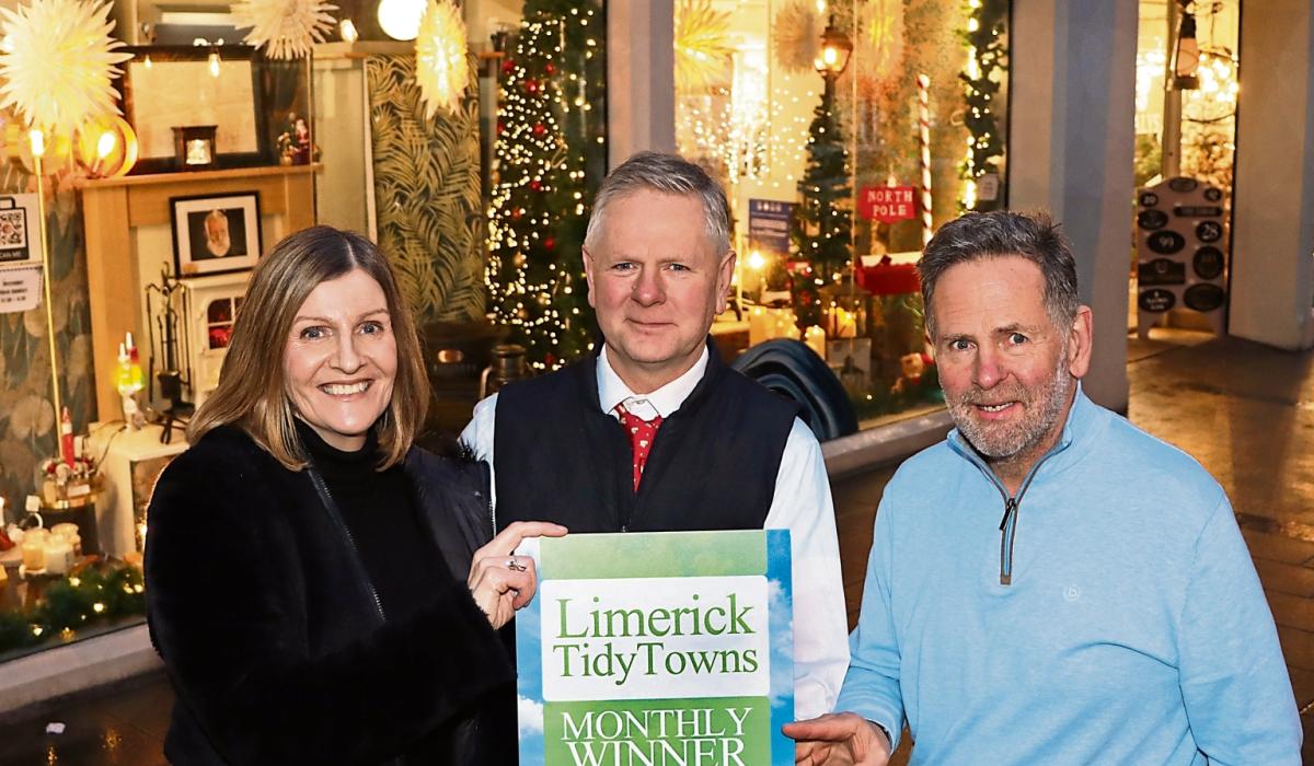 Tidy Towns award for Limerick family firm Limerick Live