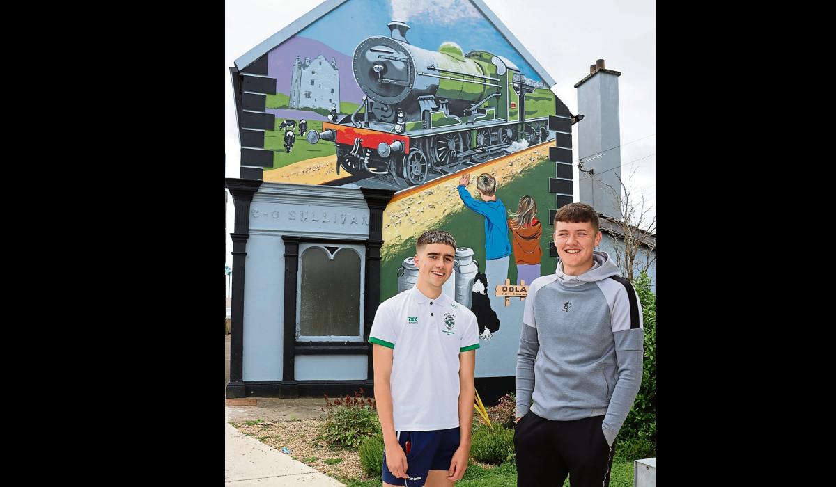 Limerick village takes a trip back in time with beautiful mural