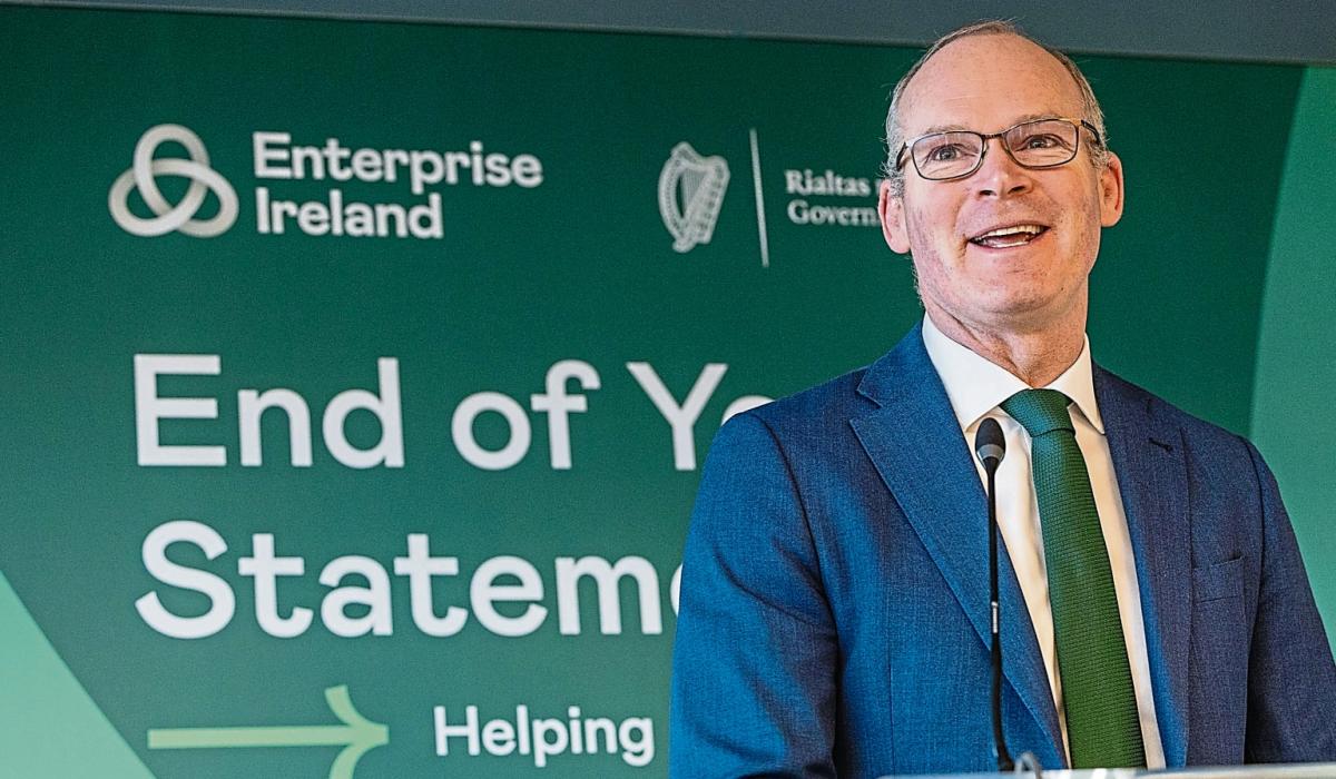 Enterprise Ireland backed firms employ 9,000 locally Limerick Live