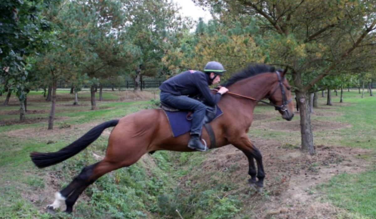 Funeral arrangements announced for young Limerick jockey Limerick Live