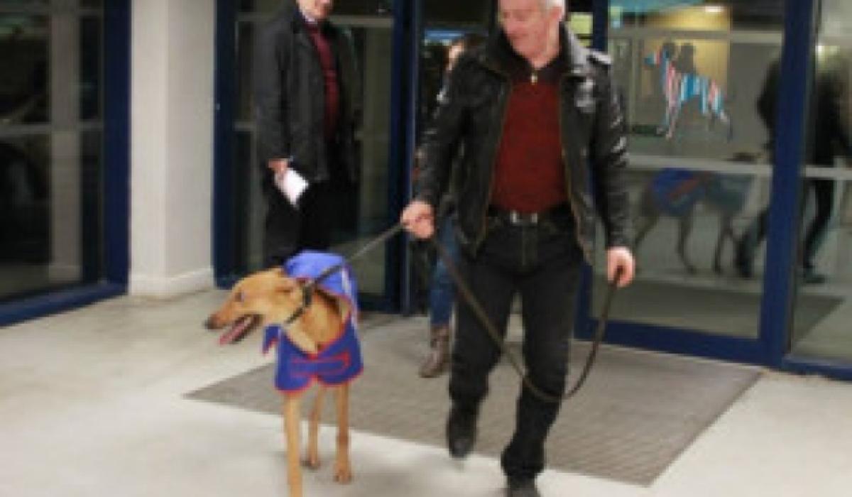 Christmas cheer for Limerick Youth Service as dog produces debut win