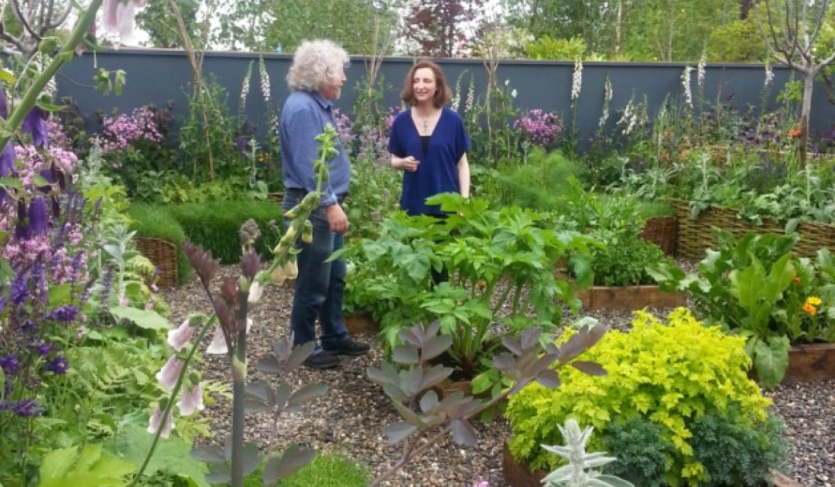Limerick culture garden to Bloom for all at City Hall Limerick Live