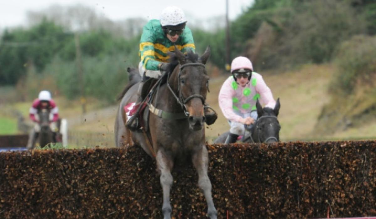 Limerick trainers toast of punters at Christmas Festival Limerick Live