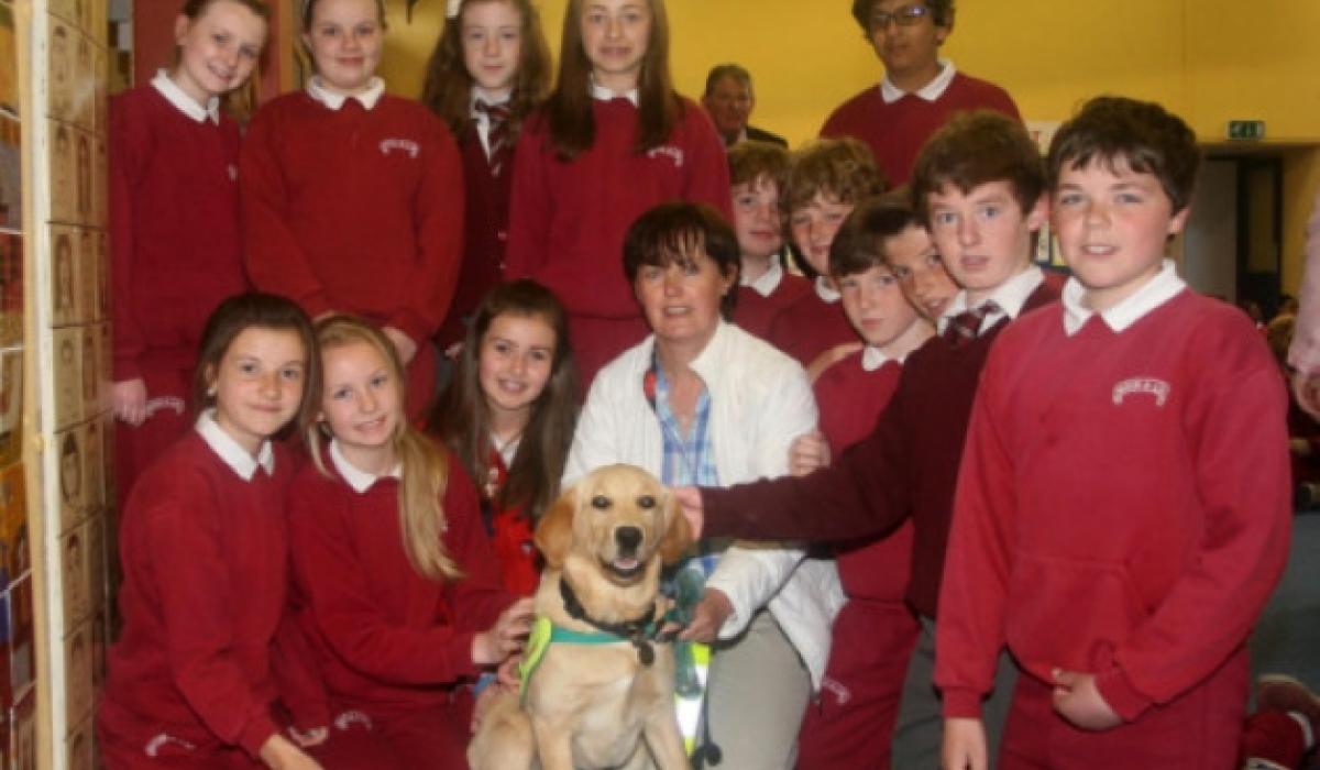 Students learn of guide dog benefits Limerick Live