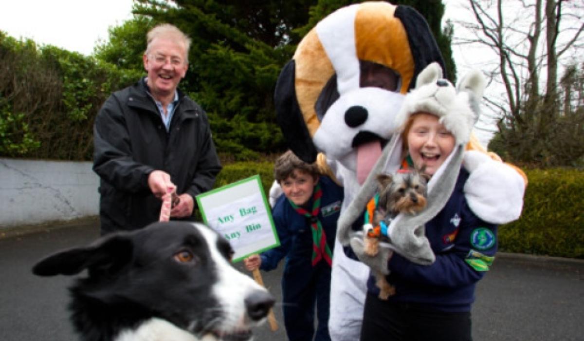 Limerick scouts and guides to target dog litter Limerick Live