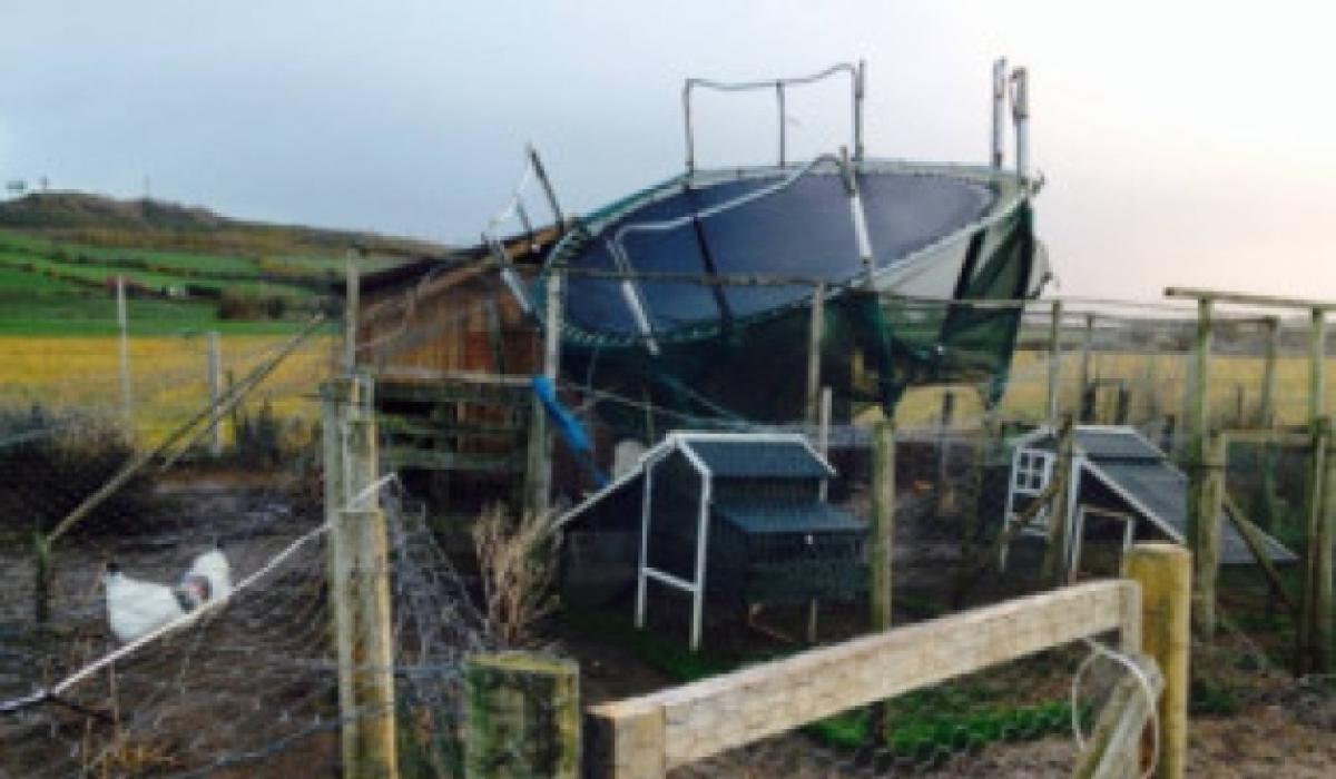 Clucking hell! Trampoline narrowly misses hitting chicken shed in