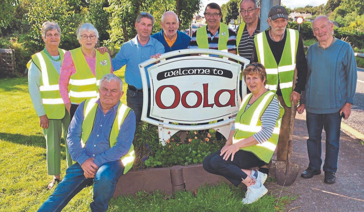 Limerick village advances to Going for Gold final Limerick Live