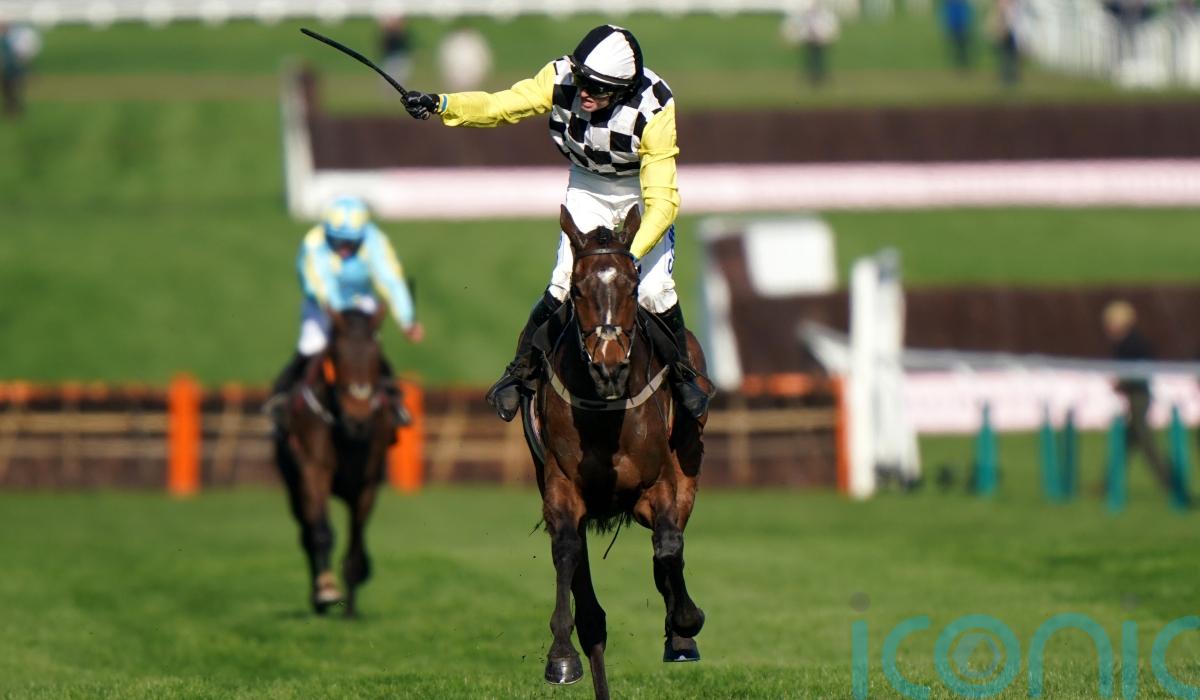 Mullins again as The Nice Guy proves best in Albert Bartlett Limerick