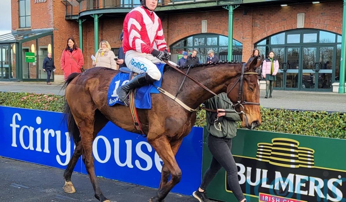 In Excess forces his way into Festival frame Limerick Live