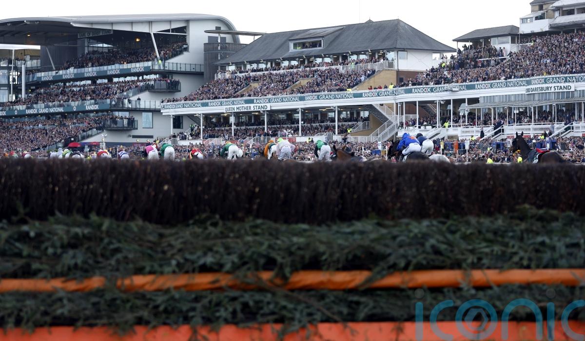 Grand National in numbers Limerick Live