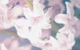 Support services for the bereaved