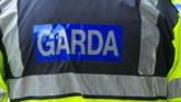 Large amount of drugs seized in county Limerick