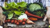 Ballyhoura Growers' Project bringing a renewed focus on reducing food waste