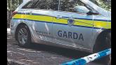 Gardai appeal for witnesses to collision in county Limerick