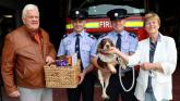 'They couldn't have done more': Positive outcome as Limerick firemen rescue dog from river