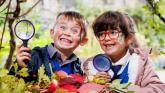 Limerick primary school pupils to plant trees for a greener future