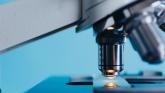 Limerick Festival of Science to receive €50,000 as part of government funding