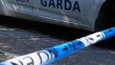 Gardai probe arson attack in the dead of night in Limerick