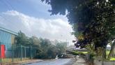 Storm Amy