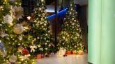 Celebrate the magic of Christmas at the Limerick Strand Hotel Celebrate the magic of Christmas at the Limerick Strand Hotel