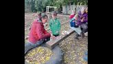Limerick pupils thrive during forest school sessions