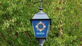 Gardai called to stand-off at Limerick farm as milk lorry is prevented from leaving