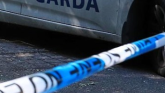 UPDATE: Gardai launch investigation after device thrown at house