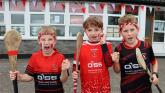 PICTURES: Doon dream of going back-to-back in Limerick Senior Hurling Championship