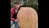 It took four to five people to lift it into the car!': Servatius and his gigantic Limerick pumpkin