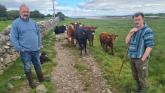 Brothers in ‘farms’ open up their unique Limerick farm with a rare lagoon to the public