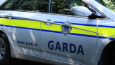 Men armed with gun and and slash hooks storm house in Limerick town