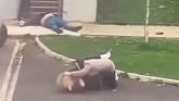'Ugly scenes' of man motionless on the ground and women fighting in Limerick village go viral