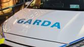 Rhinoceros horns, designer bags and watches seized by gardai in Limerick town