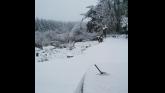 Snowy scene close to Limerick-Cork border as Status Yellow warning comes into force