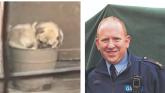 Dog named after Limerick garda sergeant who rescued pug from &lsquo;living nightmare&rsquo;