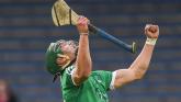Limerick All-Ireland medallist makes hurling debut for Louth