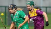 Limerick boost hopes of booking National Camogie League final spot win victory over Wexford