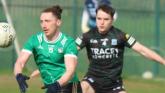 Limerick drop back to Division 4 despite dramatic victory over Fermanagh