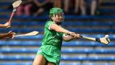 Limerick camogie player named Electric Ireland Third Level Rising Star Player of the Year